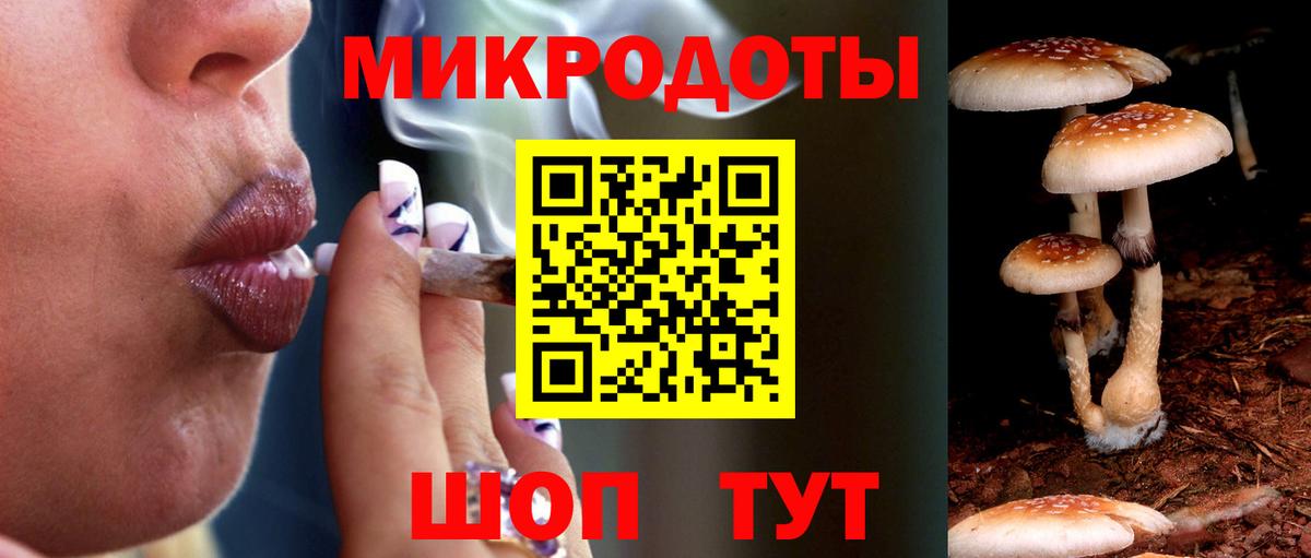 Железноводск  что такое   Вход с VPN  Галлюциногенные грибы Magic Shrooms 